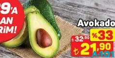 AVOKADO ADET AVOKADO ADET